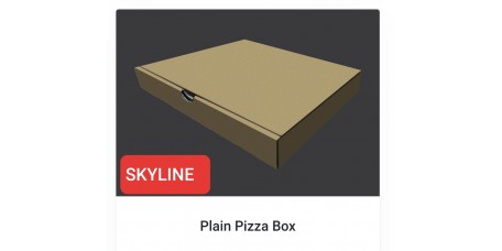 Plain Pizza Box 